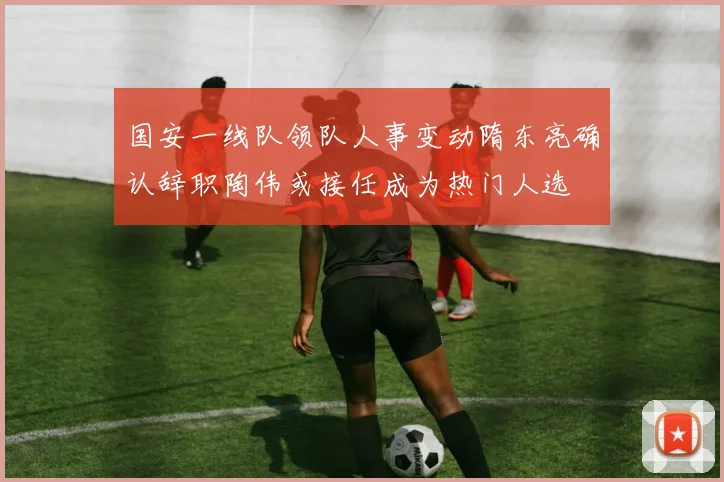 国安一线队领队人事变动隋东亮确认辞职陶伟或接任成为热门人选